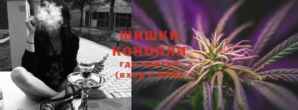 ПСИЛОЦИБИНОВЫЕ ГРИБЫ Липки