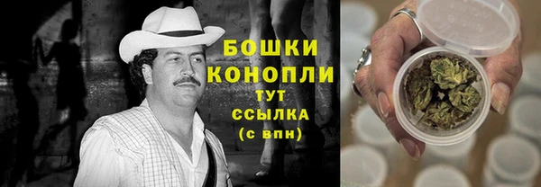 дурь Лиски