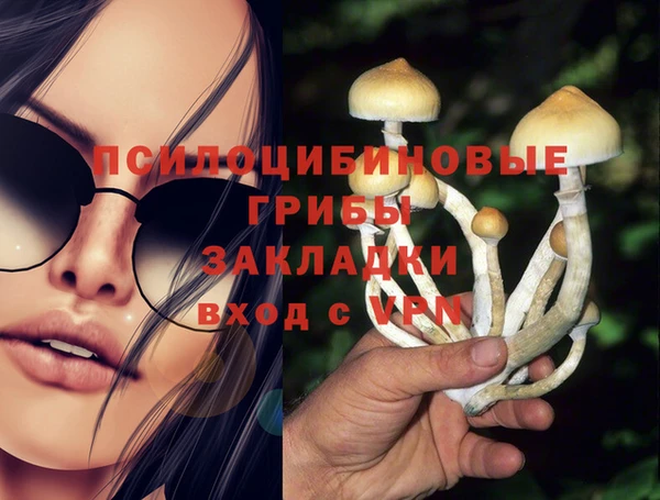 дурь Лиски