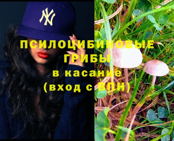 дурь Лиски