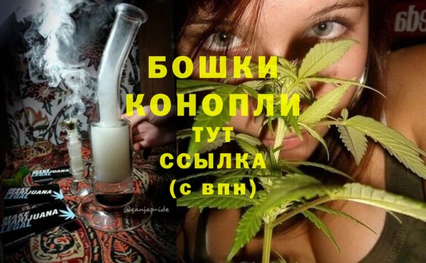 ПСИЛОЦИБИНОВЫЕ ГРИБЫ Липки