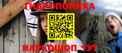 гидра Ипатово