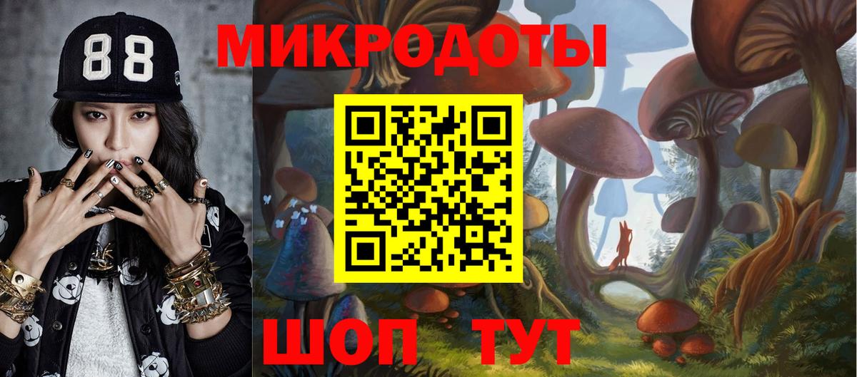 наркота  Галлюциногенные грибы MAGIC MUSHROOMS  Каспийск  Вход с VPN  Псилоцибиновые грибы Psilocybine cubensis 
